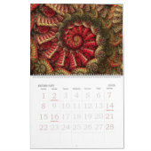 "Taiyou: Terug naar Basics-agenda Kalender (Feb 2026)