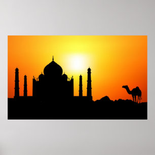 Taj Mahal & Camel op zonnige achtergrond Poster