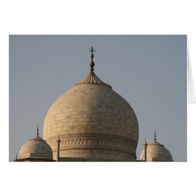 taj mahal domes (Voorkant Horizontaal)