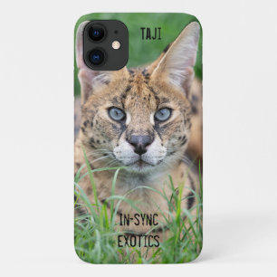Taji - iPhone 11 hoesje