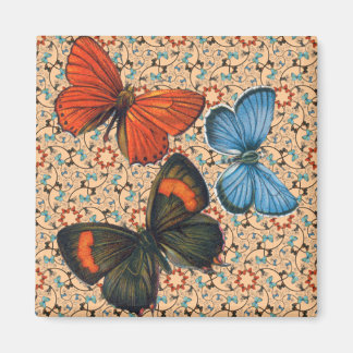 tak vlinders elke kleur magneet