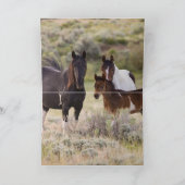 Takini et sa carte de voeux familiale (Intérieur)