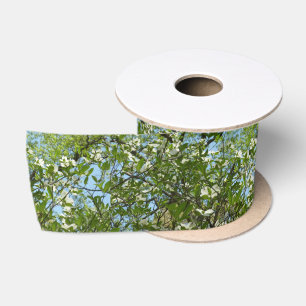 Takken van Bloesems van de Kornoelje Lente Bomen Lint