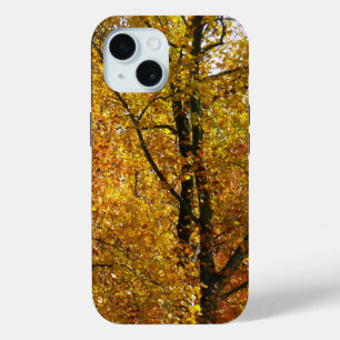 Takken van gele bladeren helder herfst kleurrijk