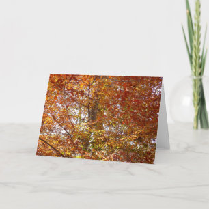 Takken van oranje bladeren herfst natuur kaart