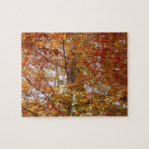 Takken van oranje bladeren herfst natuur legpuzzel