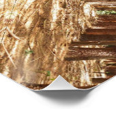 Tal bomen perfect poster (Hoek)