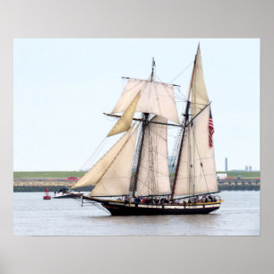Talenschip Lynx Poster