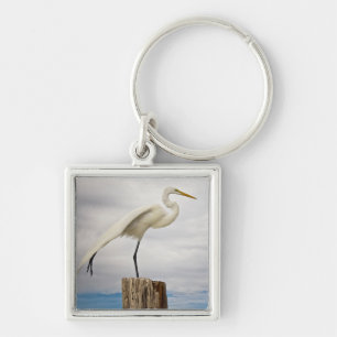 Talented Egret   Fort Myers Beach, Florida Sleutelhanger