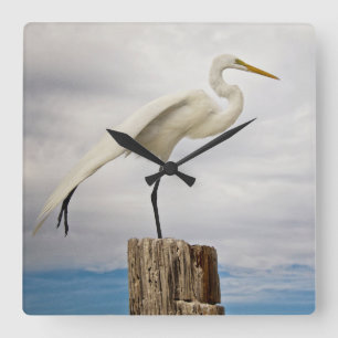 Talented Egret   Fort Myers Beach, Florida Vierkante Klok