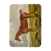 Talisman, c.1840 magneet (Verticaal)