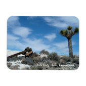 Talk Mine Ruïnes met Joshua Tree Magneet (Horizontaal)