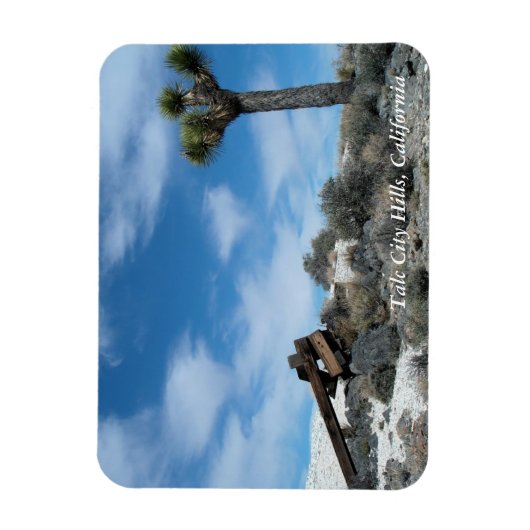 Talk Mine Ruïnes met Joshua Tree Magneet (Verticaal)