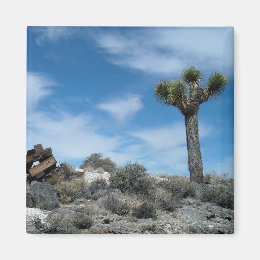 Talk Mine Ruïnes met Joshua Tree Magneet (Voorkant)