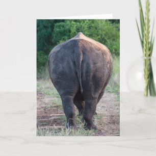 Talk to the Tail - Rhino Kaart