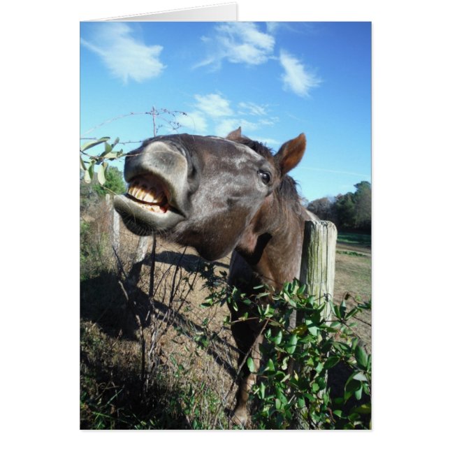 Talking Brown Horse (Voorkant)