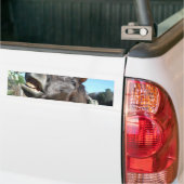 Talking Brown Horse Bumpersticker (Op Truck)