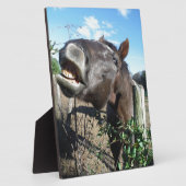 Talking Brown Horse Fotoplaat (Zijkant)