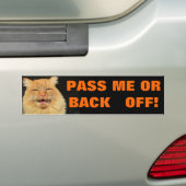 Talking Cat zegt "Pass or back off" Bumpersticker (Op auto)