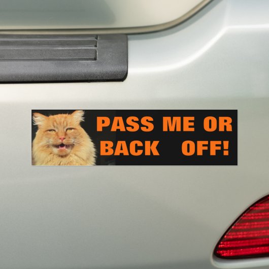 Talking Cat zegt "Pass or back off" Bumpersticker (Op auto)