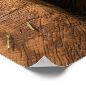 Talking Elephants in Chiang Mai Thailand Poster (Hoek)