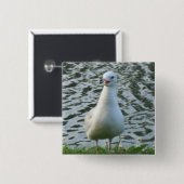 Talking Seagull Vierkante Button 5,1 Cm (Voorkant /achterkant)