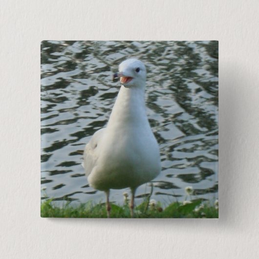 Talking Seagull Vierkante Button 5,1 Cm (Voorkant)