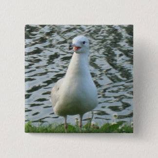 Talking Seagull Vierkante Button 5,1 Cm
