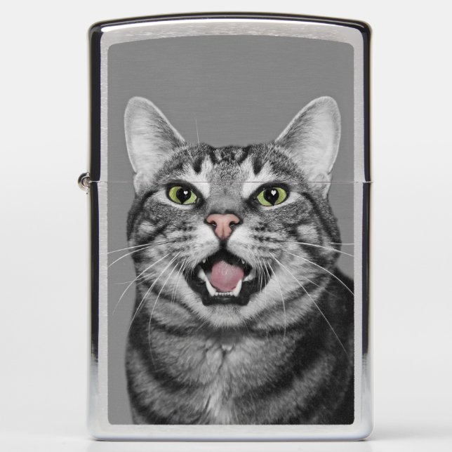 Talktafel-kat (Voorkant)