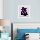 Tall Bearded Iris Folie Text Print Poster (Insitu (Slaapkamer))