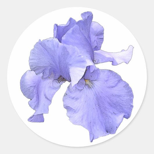 Tall Bearded Paars Iris Ronde Sticker (Voorkant)