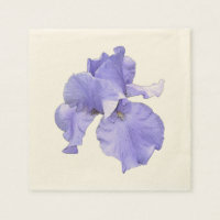 Tall Bearded Paars Iris