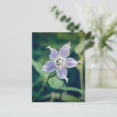 Tall Bellflower Briefkaart (Staand voorkant)