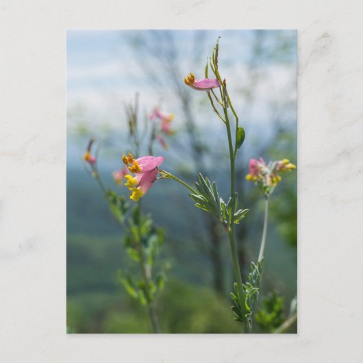 Tall Corydalis Wildflower Verticaal Briefkaart (Voorkant)