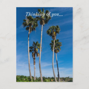 Tall Curving Palms Briefkaart