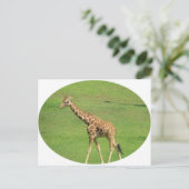 Tall Giraffe Briefkaart (Staand voorkant)