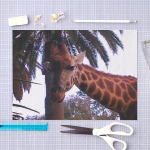 Tall Giraffe-verhalen onder de palmboom, Tissuepapier