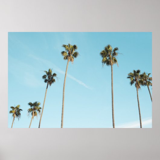 Tall Palm Trees Light Blue Sky Poster (Voorkant)