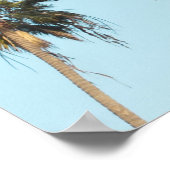 Tall Palm Trees Light Blue Sky Poster (Hoek)