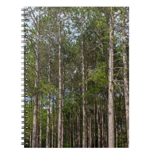 Tall Pines Notitieboek (Voorkant)