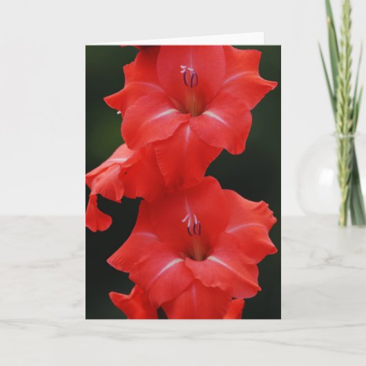 Tall Red Flowers Art Note Kaart (Voorkant)