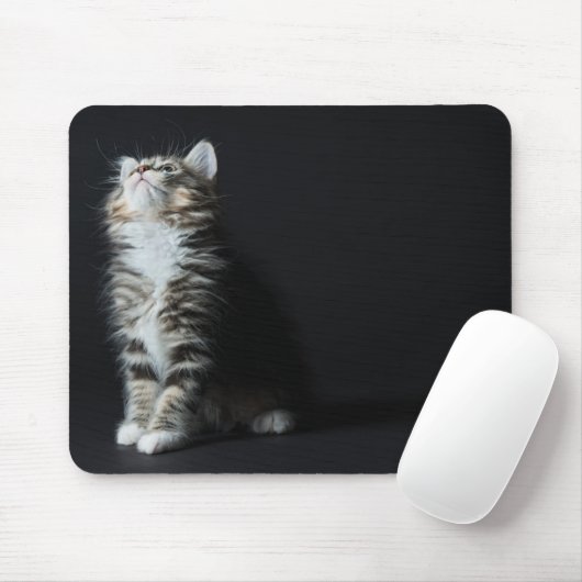 Tall Tabby Muismat (Met muis)