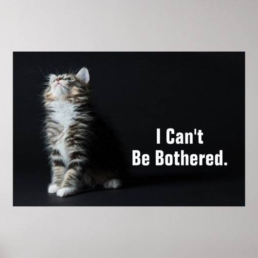 Tall Tabby Poster (Voorkant)