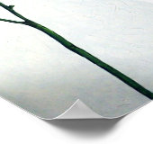 Tall Tiger Lilies Poster (Hoek)