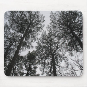 Tall Trees Muismat
