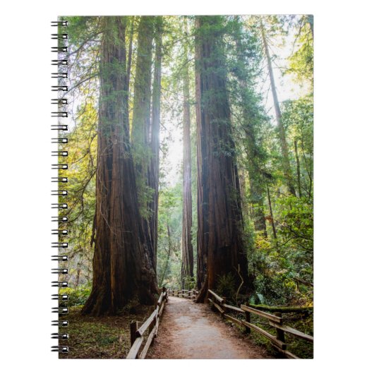 Tall Trees Notitieboek (Voorkant)