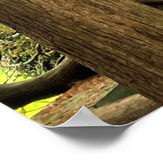 Tall Trees Poster (Hoek)