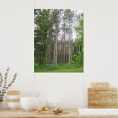 Tall Trees Poster (Keuken)