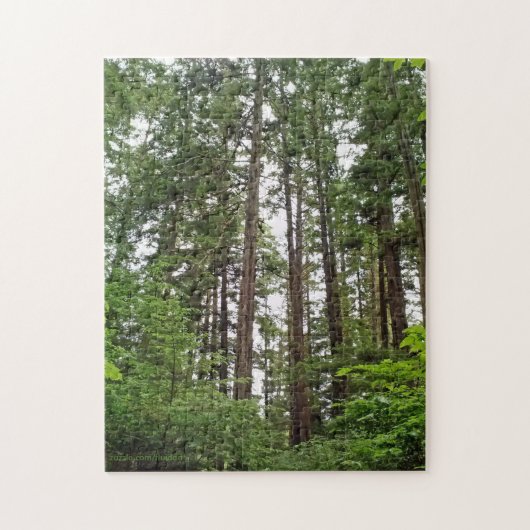 Tall Trees Puzzle Legpuzzel (Verticaal)