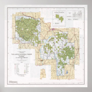 Talladega National Forest Map (1994)  Poster